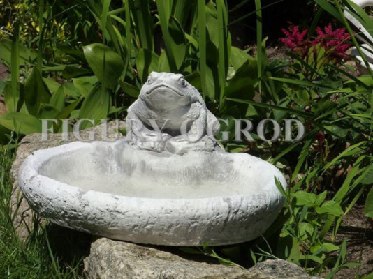 Poidełko dla ptaków żaba s104085